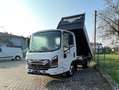 Isuzu M21 TH NEW GENERATION 2 RIBALTABILE TL PASTO Bianco - thumbnail 7