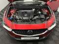 Mazda CX-3 0 2,0 Exclusive-Line *VOLLAUSSTATTUNG Rot - thumbnail 36