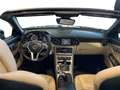 Mercedes-Benz SLK 250 SLK          (R172) - SLK 250 CDI Premium Negro - thumbnail 10
