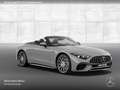 Mercedes-Benz SL 63 AMG Cab. 4M 360° Burmester Distr+ Multisitz Grau - thumbnail 20