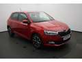 Skoda Fabia 1.0 TSI Drive 125 ACC/Einparkhi/Multilenk Rot - thumbnail 13