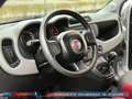 Fiat Panda 0.9 TwinAir Edizione Cool | 1e Eig. | Nwe APK | Ai Gris - thumbnail 2