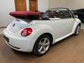 Volkswagen New Beetle Cabrio 1.6 limited Red Edition STUPENDO PERFETTO!! Beyaz - thumbnail 5