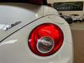 Volkswagen New Beetle Cabrio 1.6 limited Red Edition STUPENDO PERFETTO!! Blanc - thumbnail 19