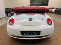 Volkswagen New Beetle Cabrio 1.6 limited Red Edition STUPENDO PERFETTO!! Білий - thumbnail 4