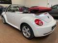 Volkswagen New Beetle Cabrio 1.6 limited Red Edition STUPENDO PERFETTO!! Biały - thumbnail 3