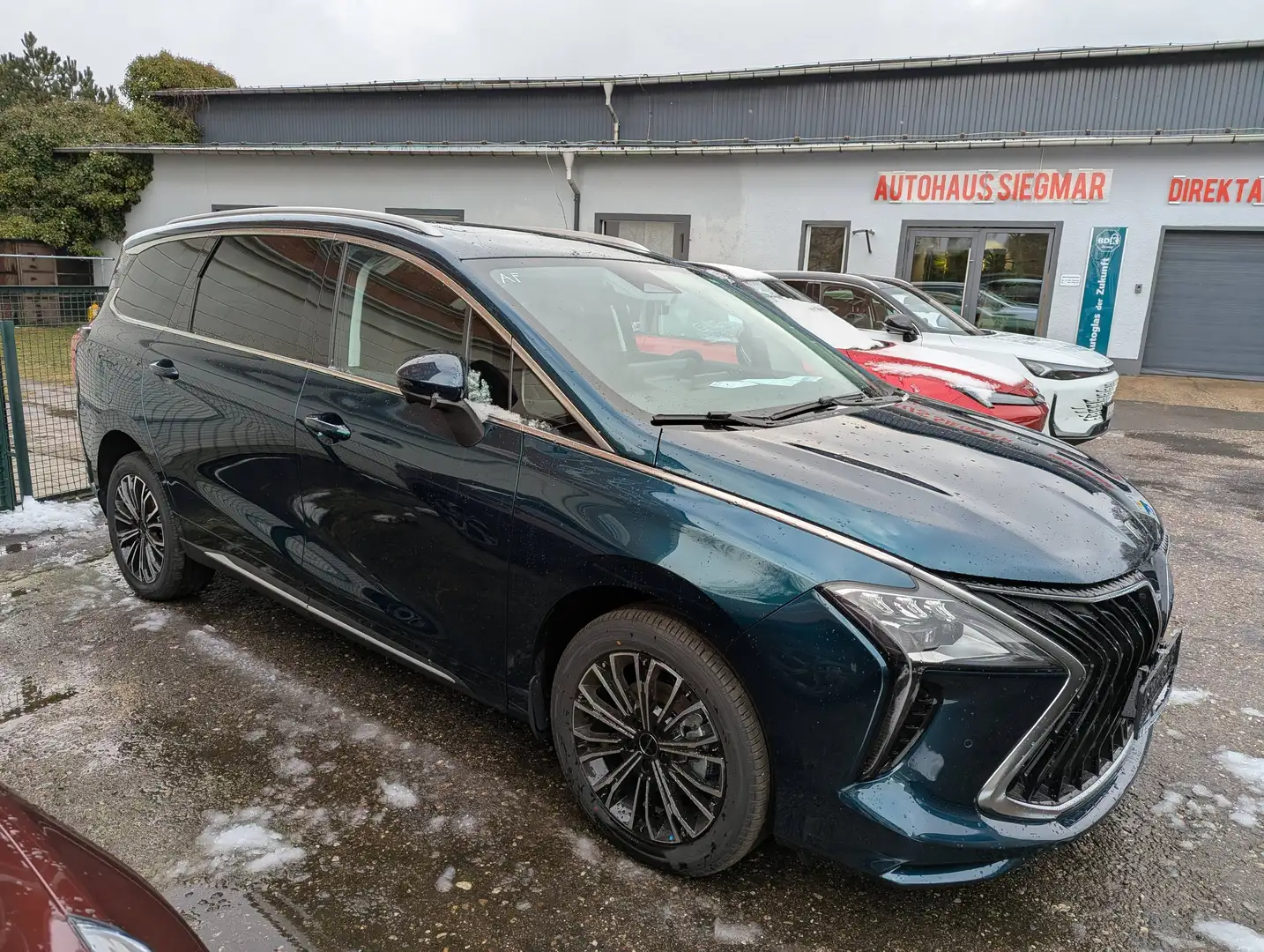 DFM Forthing 4 4 PHEV Grün - 2