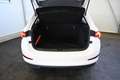 Skoda Scala 1,0 TSI Ambition DSG Spurhalte,Tempomat,Sitzhei... Weiß - thumbnail 8