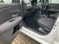 Dacia Sandero Expression TCe 90 Weiß - thumbnail 12