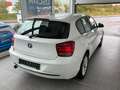 BMW 116 Baureihe 1 Lim. 5-trg. 116 d Sport*Navi Weiß - thumbnail 3