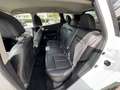 Renault Kadjar Kadjar 1.6 dci  Hypnotic (magnetik) 4x4 130cv Wit - thumbnail 7
