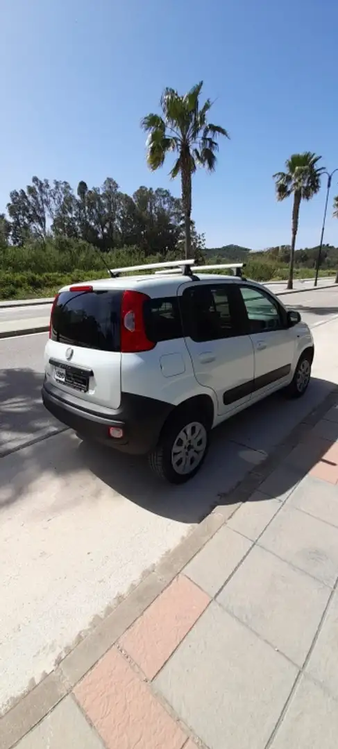 Fiat Panda 1.3 Mjt Climbing 4x4 E5+ Bianco - 2