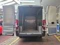 Fiat Ducato 2.3M-jet 16v 150cv, P. LUNGO/T. ALTO, IVA ESCLUSA! bijela - thumbnail 9