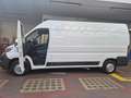 Fiat Ducato 2.3M-jet 16v 150cv, P. LUNGO/T. ALTO, IVA ESCLUSA! bijela - thumbnail 21