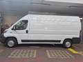 Fiat Ducato 2.3M-jet 16v 150cv, P. LUNGO/T. ALTO, IVA ESCLUSA! bijela - thumbnail 20