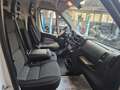 Fiat Ducato 2.3M-jet 16v 150cv, P. LUNGO/T. ALTO, IVA ESCLUSA! bijela - thumbnail 23