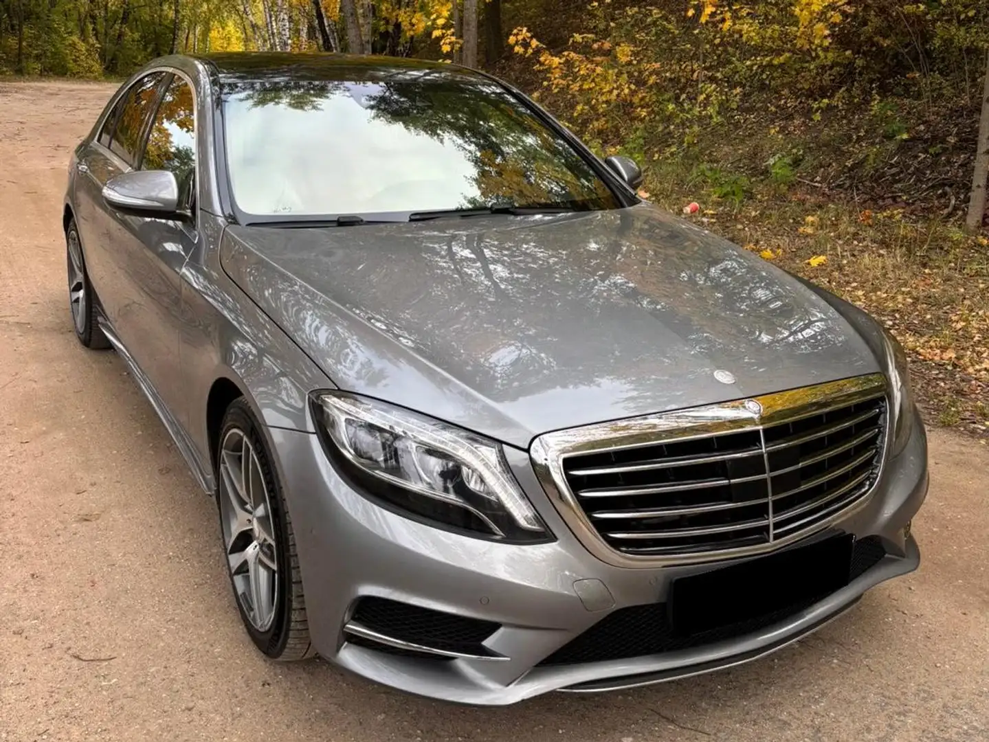 Mercedes-Benz S 300 S 300 L d HYBRID - 2