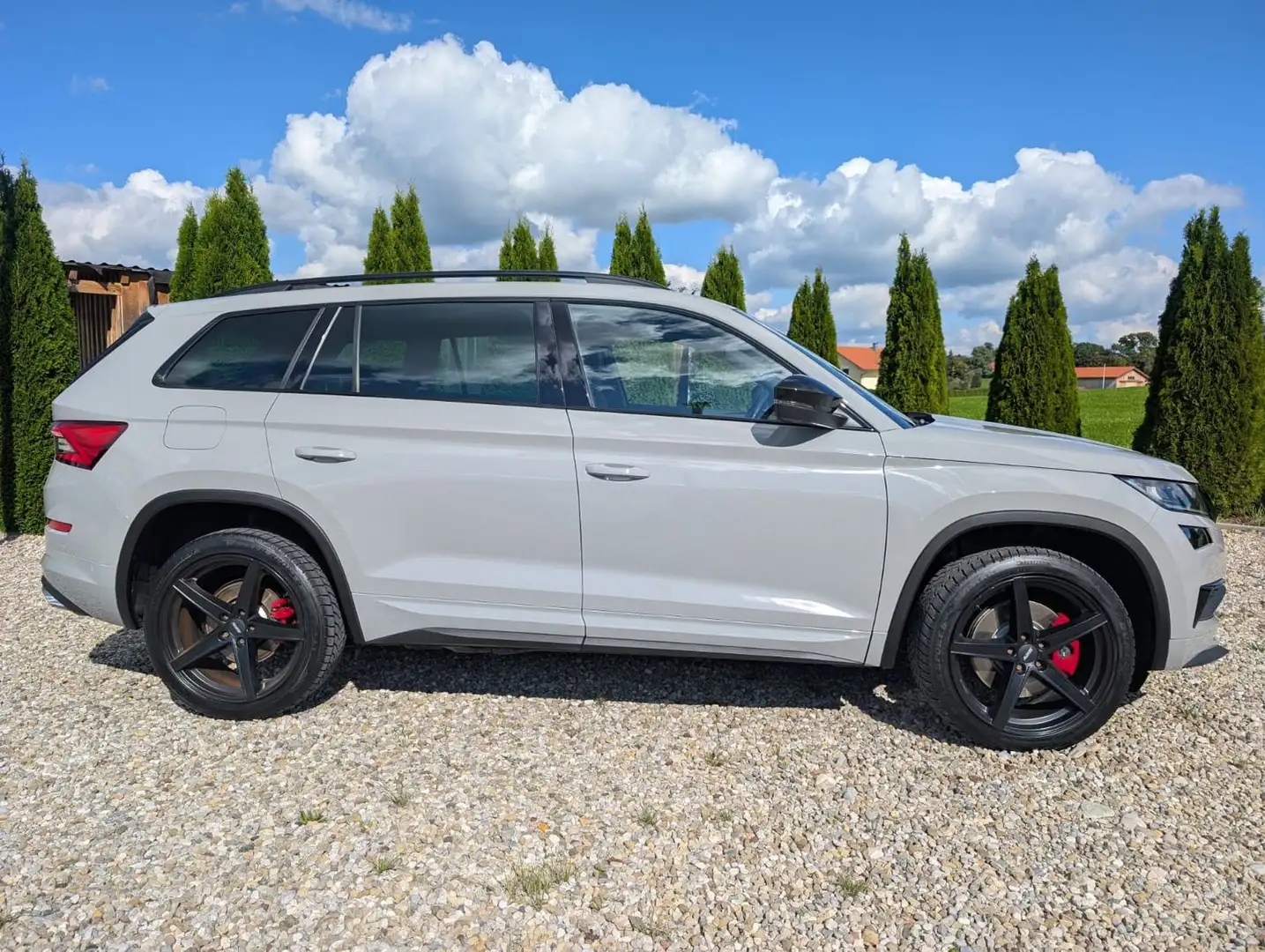 Skoda Kodiaq RS 4x4 DSG LED AHK Gris - 1