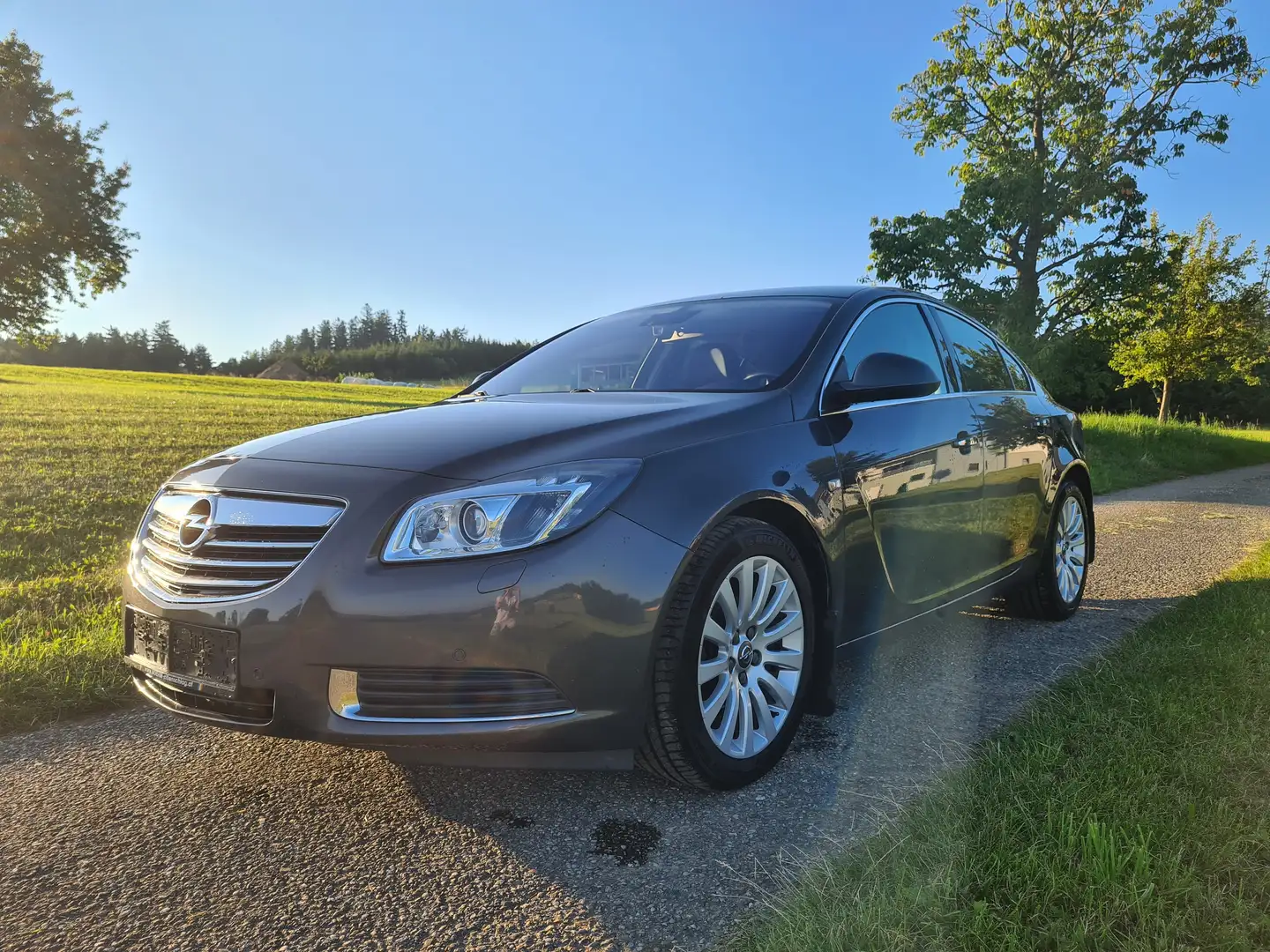 Opel Insignia Insignia 2,0 Cosmo CDTI DPF Ecotec Cosmo Grau - 1