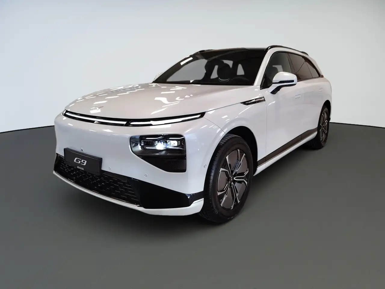 Xpeng G9 RWD LONG RANGE