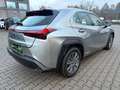 Lexus UX 250h Launch Edition LED, Navi, SHZ, Kamera, BT Silber - thumbnail 4