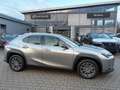 Lexus UX 250h Launch Edition LED, Navi, SHZ, Kamera, BT Silber - thumbnail 16