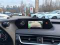 Lexus UX 250h Launch Edition LED, Navi, SHZ, Kamera, BT Silber - thumbnail 11