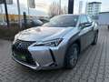 Lexus UX 250h Launch Edition LED, Navi, SHZ, Kamera, BT Silber - thumbnail 2