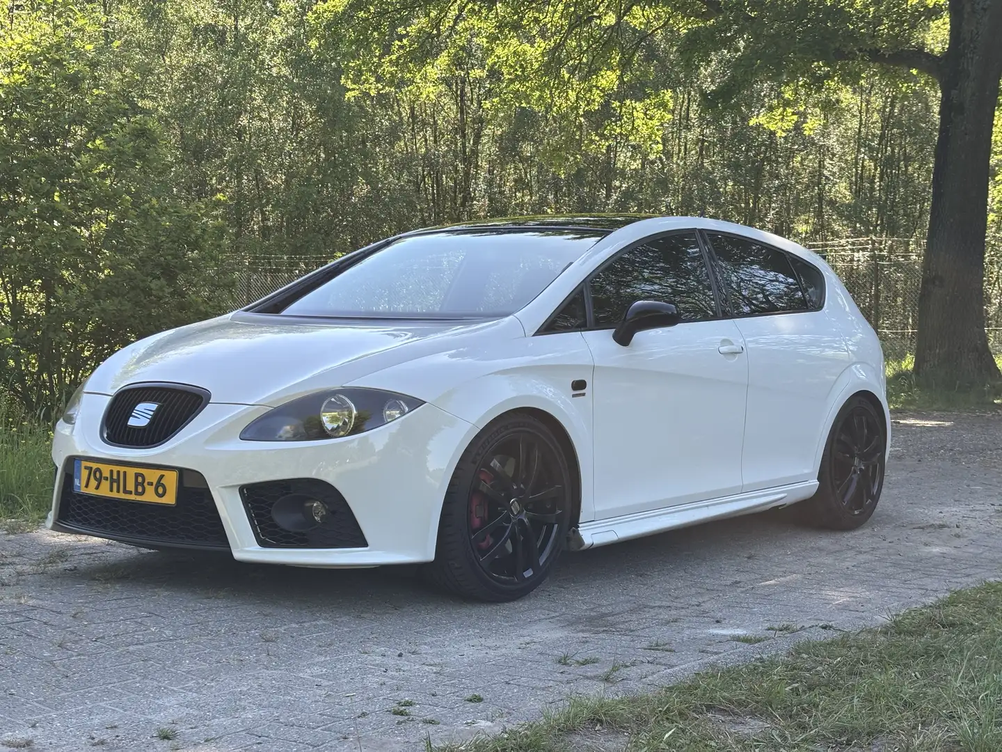 SEAT Leon 2.0 TFSI Cupra 310 limited editie Wit - 1