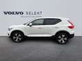 Volvo XC40 T5 Recharge 180 + 82ch Business DCT 7 Blanc - thumbnail 2
