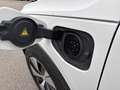 Volvo XC40 T5 Recharge 180 + 82ch Business DCT 7 Blanc - thumbnail 13