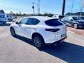 Alfa Romeo Stelvio 2.2 Turbodiesel 210 CV AT8 Q4 Executive Blanco - thumbnail 4