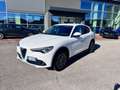 Alfa Romeo Stelvio 2.2 Turbodiesel 210 CV AT8 Q4 Executive Blanco - thumbnail 1