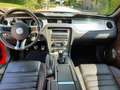 Ford Mustang V6 3,7 Premium Rood - thumbnail 6
