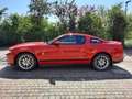 Ford Mustang V6 3,7 Premium Rouge - thumbnail 1