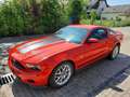 Ford Mustang V6 3,7 Premium Roşu - thumbnail 2