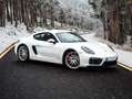 Porsche Cayman Cayman GTS PDK GTS Blanco - thumbnail 1