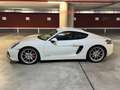 Porsche Cayman Cayman GTS PDK GTS Blanco - thumbnail 9