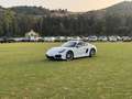 Porsche Cayman Cayman GTS PDK GTS Blanco - thumbnail 4