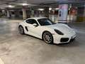 Porsche Cayman Cayman GTS PDK GTS Blanco - thumbnail 14