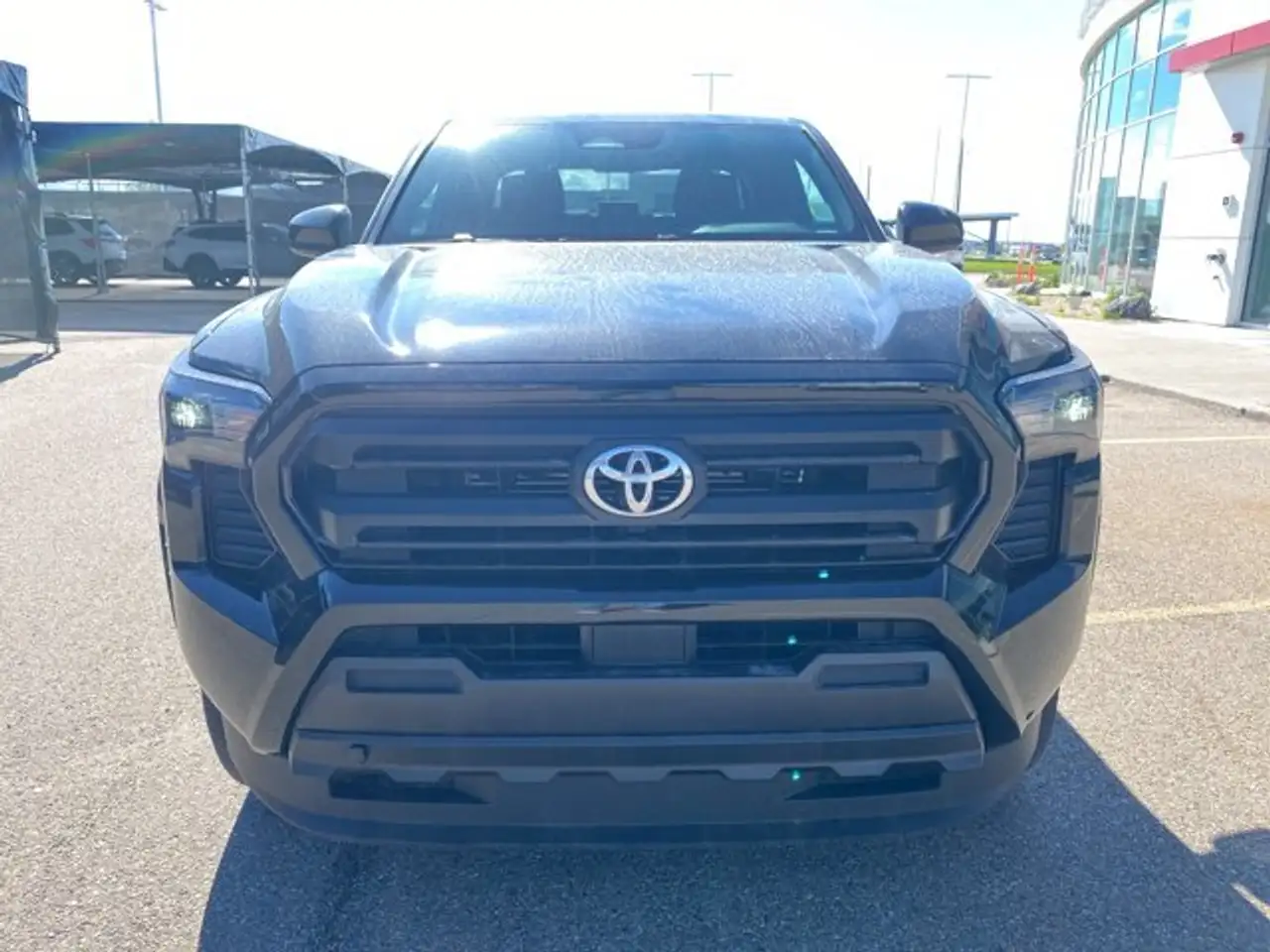 Toyota Tacoma fotografie Toyota Tacoma