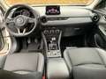 Mazda CX-3 L SKYACTIV-G 2.0 FWD 5T 6GS AL-SELECTION DUK-P NAV Weiß - thumbnail 11