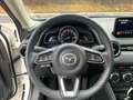 Mazda CX-3 L SKYACTIV-G 2.0 FWD 5T 6GS AL-SELECTION DUK-P NAV Weiß - thumbnail 9