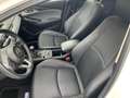 Mazda CX-3 L SKYACTIV-G 2.0 FWD 5T 6GS AL-SELECTION DUK-P NAV Weiß - thumbnail 7