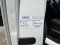 Fiat Qubo Qubo 2017 1.4 8v Easy 77cv "NEOPAT" Bianco - thumbnail 13