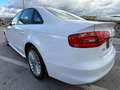 Audi A4 A4 Berlina 2.0 tdi SLine Exterior 150cv E6 Bianco - thumbnail 6