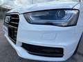 Audi A4 A4 Berlina 2.0 tdi SLine Exterior 150cv E6 Bianco - thumbnail 7