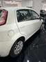 Fiat Punto Evo Punto Evo 5p 1.3 mjt Dynamic eco s Bianco - thumbnail 4