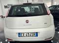 Fiat Punto Evo Punto Evo 5p 1.3 mjt Dynamic eco s Bianco - thumbnail 6