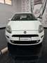 Fiat Punto Evo Punto Evo 5p 1.3 mjt Dynamic eco s Bianco - thumbnail 1